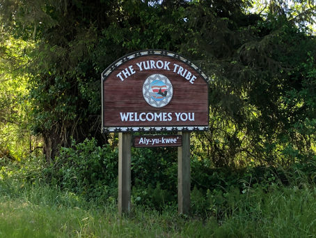 Free Your Mind (taste-buds) with Local Smoked Salmon/Jerky