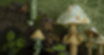 lake-august-carousel-images-1