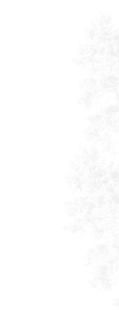 Website Backgrounds_edited.jpg