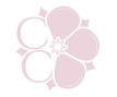 Faded Red Flower.png