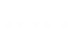 SkanskaLogo_white.png