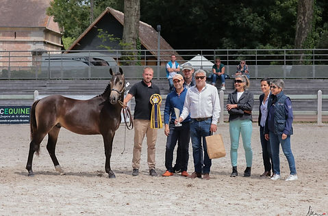 LOCAL HARAS DU PIN