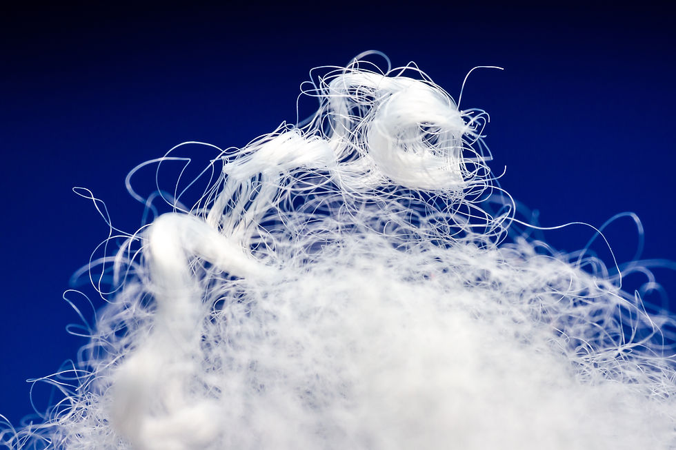 BUXKIN - AdobeStock_883173578.jpeg