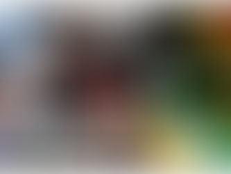 MEILLEURS VOEUX 2026