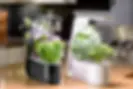 AeroGarden_products.png.webp