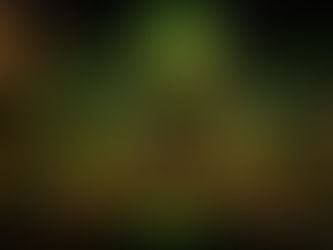 Solving Rural Connectivity Issues with Low-Cost Access Points