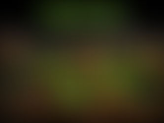 internet to all routers