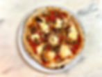 PORCINI