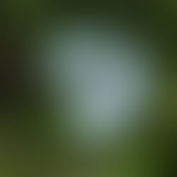 ROTEIRO DE 6 DIAS NO JALAPÃO