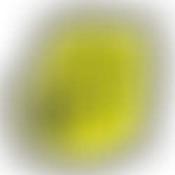 🎷✨ Press Release: A Double Feature of Jazz Extravaganza Online with LmLw Radio! ✨🍷