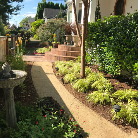 Irvington Mediterranean Ecstasy