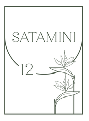 LOGO SATAMINI_verde_3x.png