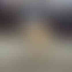 domestic insurance brokers