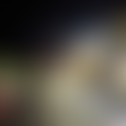 Building Premium Partnerships in Heavy Transport Insurance