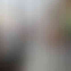 domestic insurance brokers