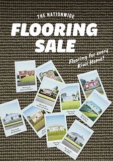 publication cover.png