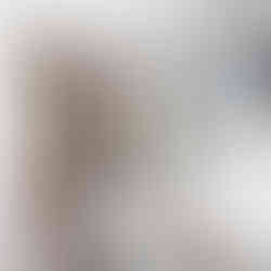 carpet tauranga flooring