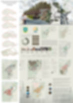 2nd Place ICAUS sheet n°1