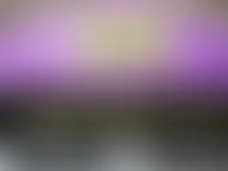 Com recordes de negociação em novembro, Feirão Serasa Limpa Nome é prorrogado até 23/12