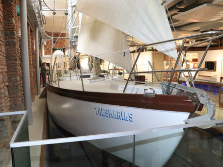 Museu do Mar abre programação da Primavera dos Museus com meia entrada e exposição ‘Conchas Marinhas