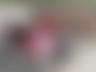 Hemóvel em Lauro de Freitas coletou mais de 30 bolsas de sangue. Atendimento continua nesta sexta