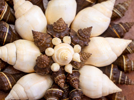 Exposição Arte do Mar acontece no salão náutico de Salvador