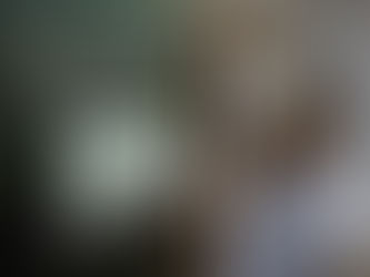 Exposição leva ‘Floresta Sempre Viva’ para dentro do Shopping da Bahia