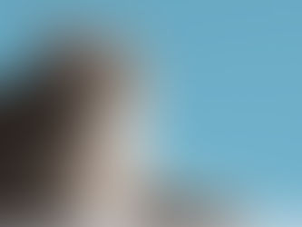 Saiba mais sobre os riscos da obesidade em cães e gatos