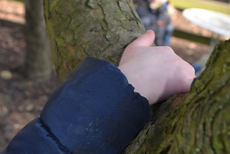 preschool child grasping tree