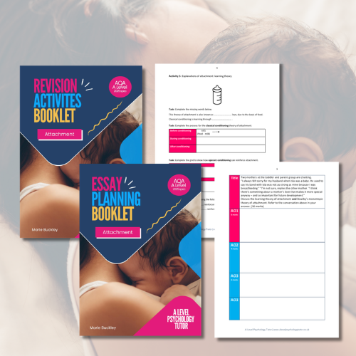 Essay Planning & Revision Booklet | Attachment