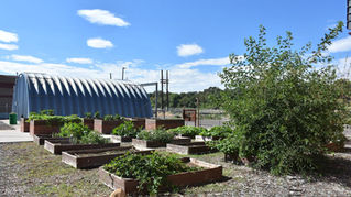 Growing Food, Service, and Community