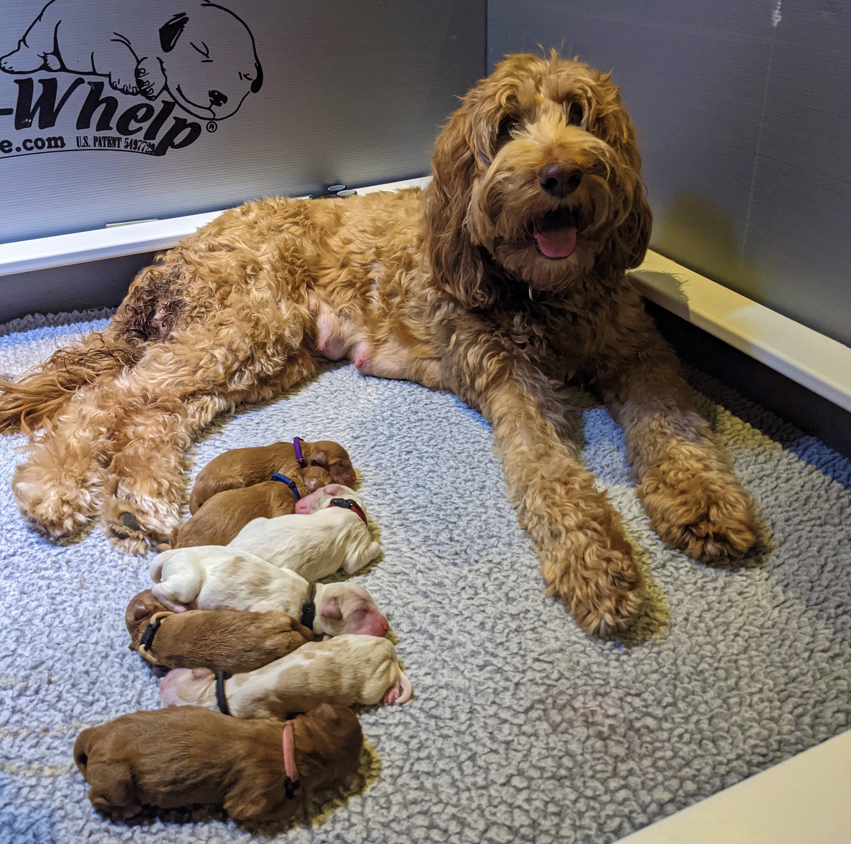 Julee is a proud Mamma