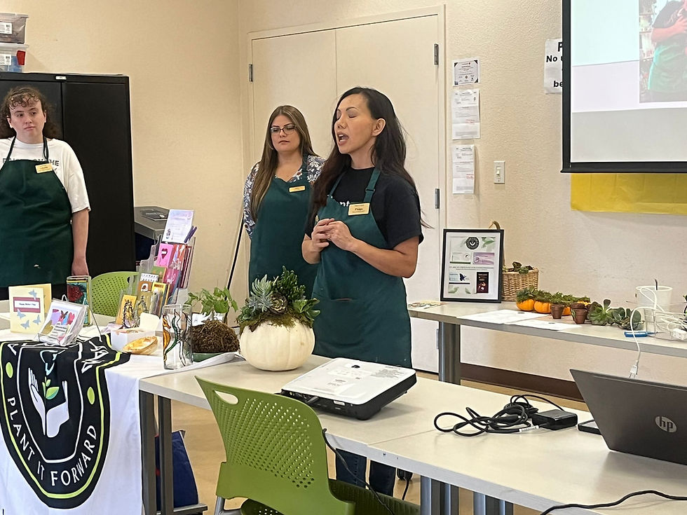 Plant it Again Workshop