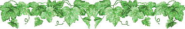 371804gwgonxdd82.gif