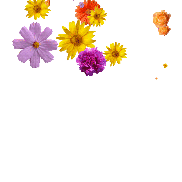 giphy-9.gif