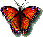 img0.gif