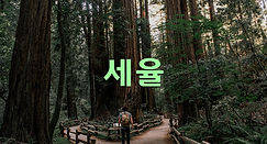 02.법인or개인-03.세율.jpg