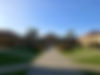 pexels-solo-rossi-27257371-18636192.jpg