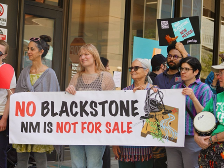 Hearing Examiners find Blackstone and TXNM violated NM law and illegal stock transaction is void.