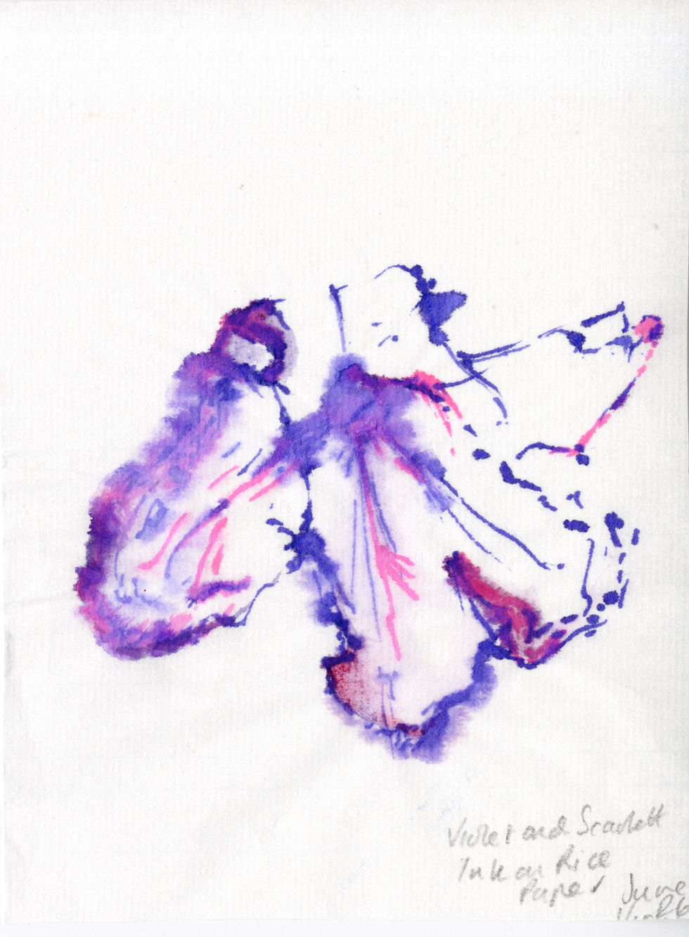 Rhododenrum study ink on RP 26.jpeg