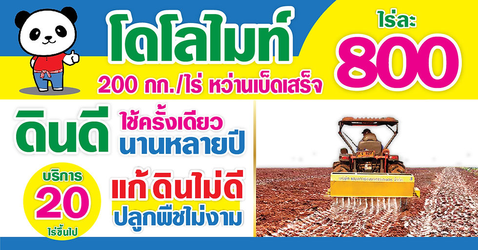 โดโลไมท์ ไร่ละ 800 แก้ดินไม่ดี ปลูกพืชไม่งาม‼️