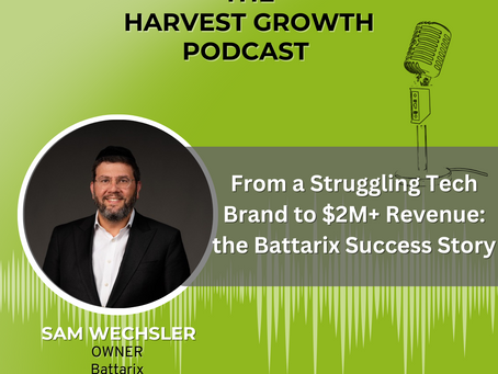 From a Struggling Tech Brand to $2M+ Revenue: the Battarix Success Story