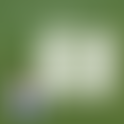 Longevity Meets Innovation: The Marketing Strategies Behind a 70-Year-Old Industry Leader