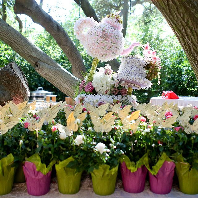 🦋 How delightful are these butterfly 🦋 placecards hovering over potted roses for guests to take ho