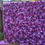 Thumbnail: 8x8 Purple and Lavender Flower Wall rental 