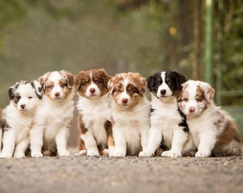 Screenshot 2023-08-10 134629_edited.jpg