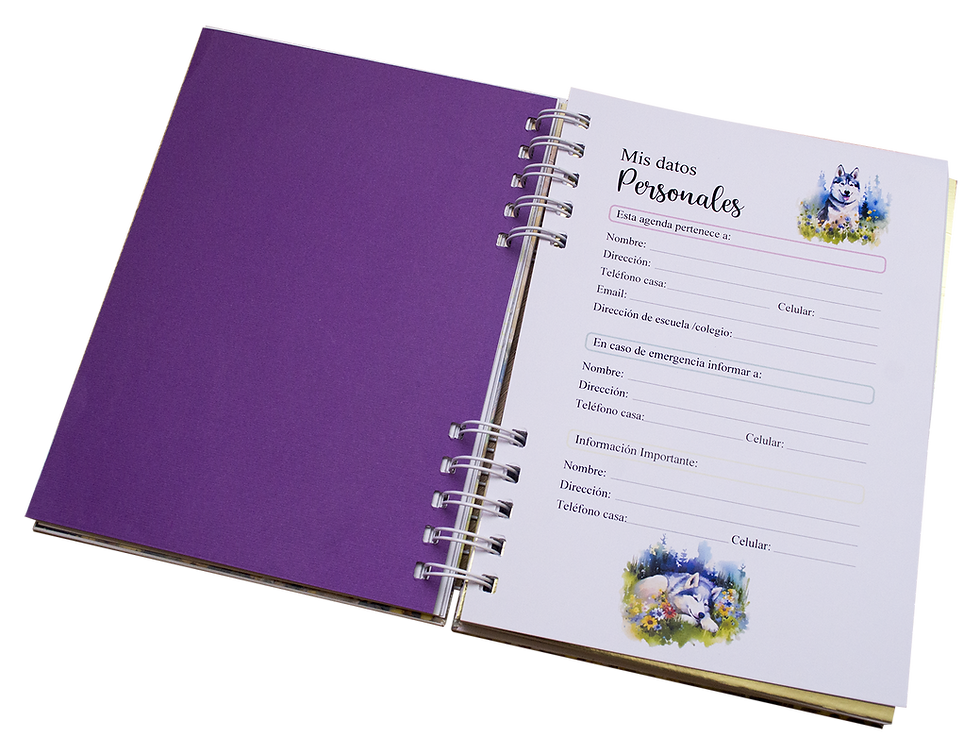 Miniatura: CUADERNO JUVENIL