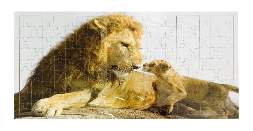 ROMPECABEZAS PERSONALIZADOS EN QUITO