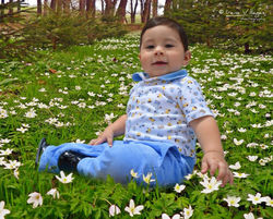 RETOQUE FOTOGRÁFICO EN QUITO