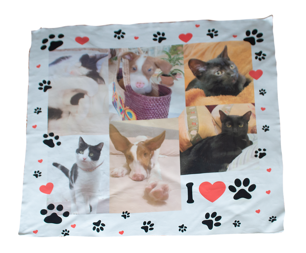 Miniatura: COBIJA 1 X 1 mts. (1 lado)